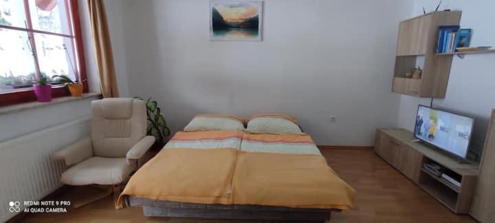 Apartmaji Bostjan Pristavec Kranjska Gora Eksteriør billede